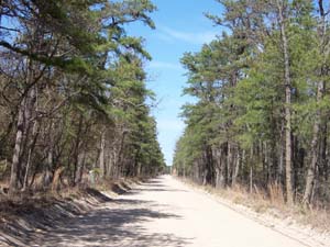 Jackson Road, which leads to the Refuge