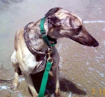 Max gets his first "feel" of the Barnegat Bay!