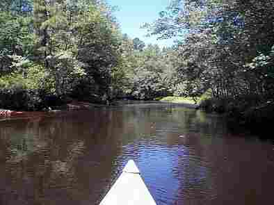 Beautiful vistas of the Wading River