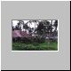The grounds at Caribe/Tropicale