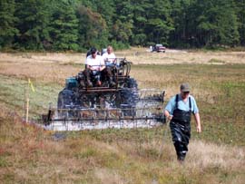 cranberry harvest - the harvesters act like horizontal egg beaters; the motion removes the cranberries from the vines