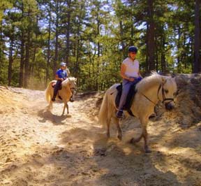 Icelandic horses are quite sure-footed, so the sugar sand hills are no problem for them!