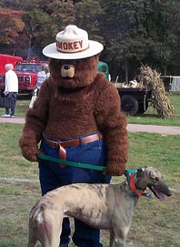 Maxwell G. Hound Meets Smokey Bear