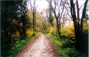 The 2.5 mile rail trail in Pemberton