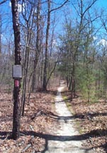 The Batona Trail, a favorite of hikers.