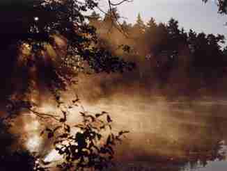 Wells Mill lake at dawn