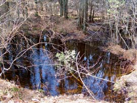 Ocean County Rail Trail