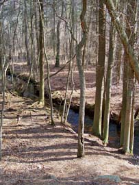 Lochiel Creek as seen from the Ocean County Rail Trail