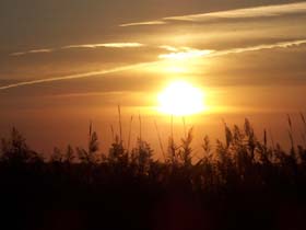 Sunset over the beautiful wetlands of Barnegat NJ