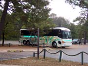 PineyPower Tours is happy to work with your local bus company