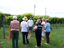Visitors to Valenzano Winery get a personal vineyard tour given by Anthony Valenzano. Piine Barrens Winery Tour is run by PineyPower Tours.