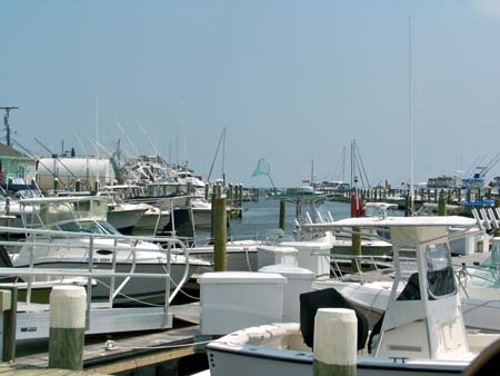 Holiday Harbor in Waretown NJ offers a multitude of boating for anglers, from  bay fishing to overnight canyon fishing for tuna, swordfish  and shark.