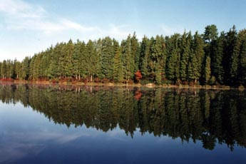 Beautiful Wells Mills Lake, perfect for canoeing